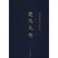 音像楚光文存王楚光 著