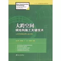 音像大跨空间钢结构施工关键技术鲁开明 等 编著