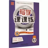 音像写字课课练 语文 2年级 下 RJ李放鸣 编