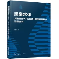 音像黑臭水体太阳能曝气-反应墙-稳定底泥组合治理技术朱慧杰著