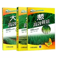 音像葱姜蒜套装共3册编者:刘冰江