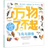 音像飞鸟与游鱼/万物了不起尹传红 主编 派糖 编绘