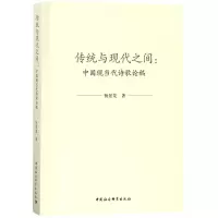 音像传统与现代之间杨景龙