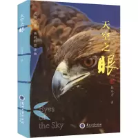 音像天空之眼赵序茅