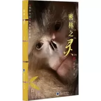 音像密林之灵赵序茅