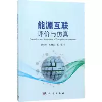 音像能源互联评价与邵志芳,吴继兰,赵强 著