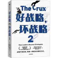 音像好战略,坏战略 2(美)理查德·鲁梅尔特
