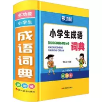 音像多功能小学生成语词典 彩图版徐成志 编