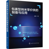 音像包裹型纳米零价铁的制备与应用成岳