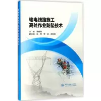音像输电线路施工高处作业防坠技术潘巍巍 主编