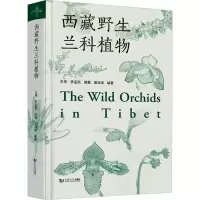 音像西藏野生兰科植物王伟、李孟凯、邢震、庞深深