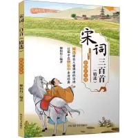 音像宋词三百(精) 彩图注音版柳如眉 编