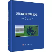 音像湖泊蓝藻定量遥感马荣华 等