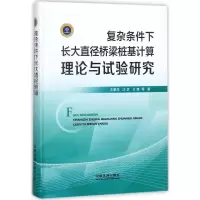 音像复杂条件下长大直径桥梁桩基计算理论与试验研究王星华 等 著