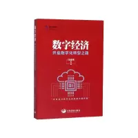 音像数字经济(开启数字化转型之路)闫德利