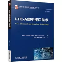 音像LTE-A空中接口技术/国际信息工程技术译丛不详