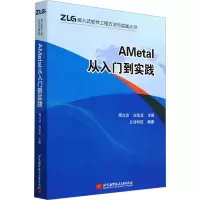音像AMetal从入门到实践周立功,白金龙 编