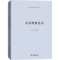 音像汉语现象论丛启功