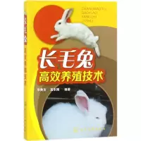 音像毛兔效养殖技术李典友,高本刚 编著