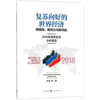 音像复苏向好的世界经济权衡 等 著