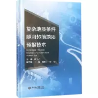 音像复杂地质条件隧洞超前地质预报技术谭天元 主编