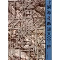 音像北魏郑道昭郑文公下碑/正楷名碑名帖导临林光旭