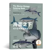 音像海面之下 海洋生物形态图鉴(美)托马斯·M.尼南