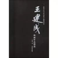 音像王建成绘画作品精选王建成 著