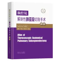 音像胸腔镜解剖肺亚段切除手术图谱陈亮
