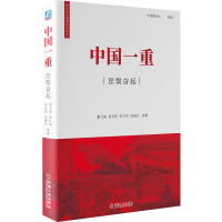 音像中国一重涅槃奋起董大海刘长韧朱方伟宋晓兵著