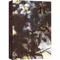音像中国当代名家画集 杨大名杨大名