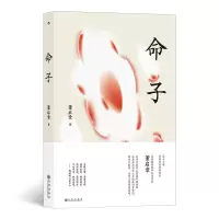 音像命子董启章