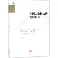 音像中国大数据法治发展报告李爱 编;李爱君 丛书主编
