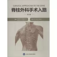 音像脊柱外科手术入路