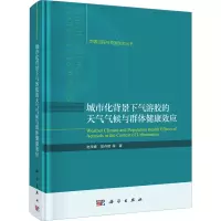 音像城市化背景下气溶胶的天气气候与群体健康效应赵传峰 等