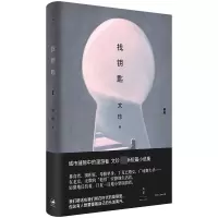 音像找钥匙文珍 著