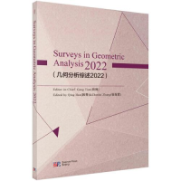 音像几何分析综述2022田刚;韩青;张振雷