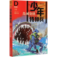 音像岛域交锋(典藏版)/少年特种兵张永军著