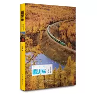 音像追火车(华北东北卷修订版)王嵬