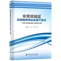 音像规储层压裂地质特征及增产技术窦亮彬,高辉,王治国