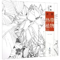 音像未君热带植物/唯美白描精选未君