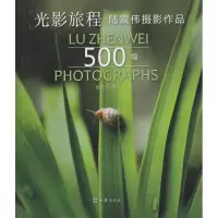 音像光影旅程陆震伟 著