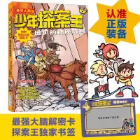 音像少年探案王(脑版)·庞贝的神秘符号法比安·蓝柯