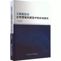 音像大数据技术在智慧城市建设中的应用研究王家驹