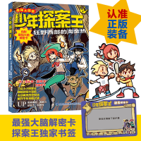 音像少年探案王(脑版)·狂野西部的淘金热法比安·蓝柯