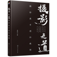 音像摄影之道(摄影高手进阶教程)李济山