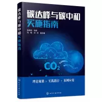 音像碳达峰与碳中和实施指南刘畅、刘洋、张燕龙、刘畅刘洋