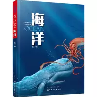 音像海洋进子 编
