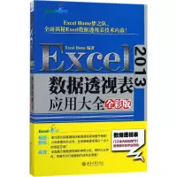 音像Excel2013数据透视表应用大全Excel Home 编著