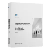 音像城市更新实践与文化空间生产/城市文化传播研究丛书张雯